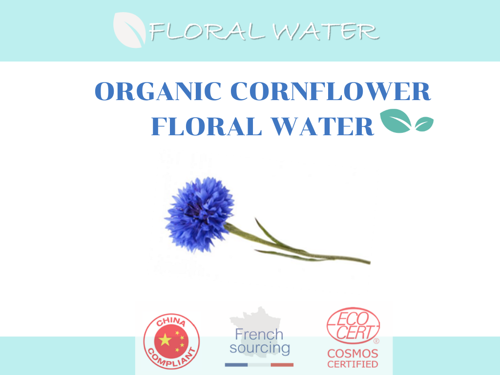 Organic Cornflower Floral Water น้ำดอกคอร์นฟลาวเวอร์(Cornflower)ออแกนิค อุดมด้วยสารต้านการอักเสบและลดรอยหมองคล้ำ กระชับรูขุมขน